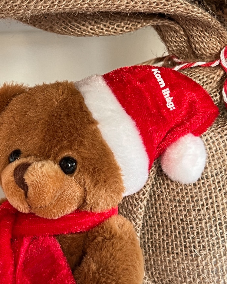 Julpaket: Två nallar med tomteluva