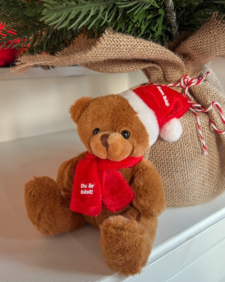 Julpaket: Nalle med tomteluva + katt med tröja