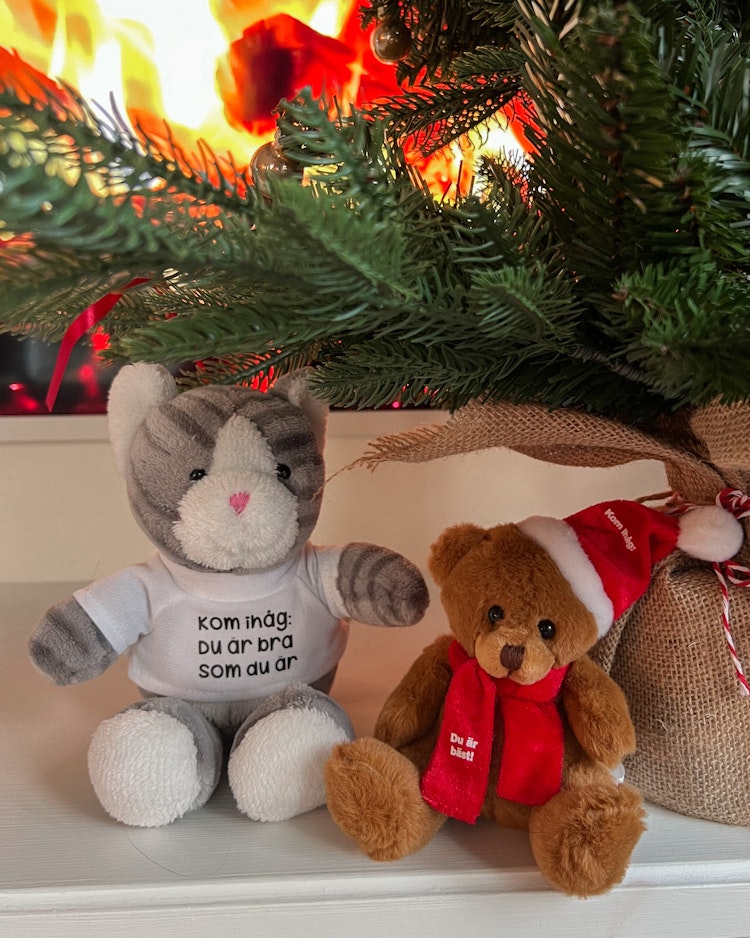 Julpaket: Nalle med tomteluva + katt med tröja
