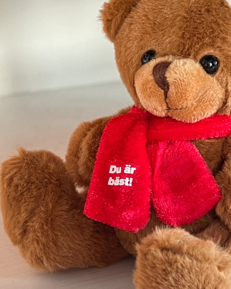 Julpaket: Nalle med tomteluva + katt med tröja