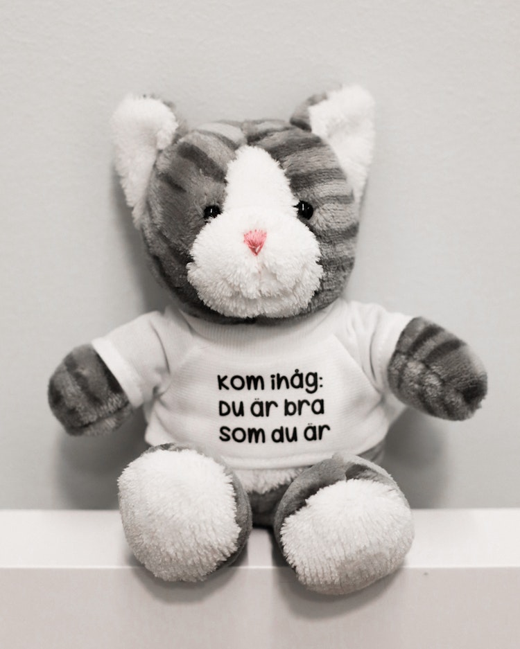 Julpaket: Nalle med tomteluva + katt med tröja
