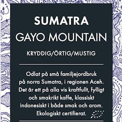 Sumatra - Gayo Mountain