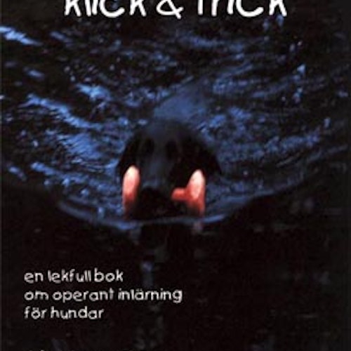 Klick & Trick