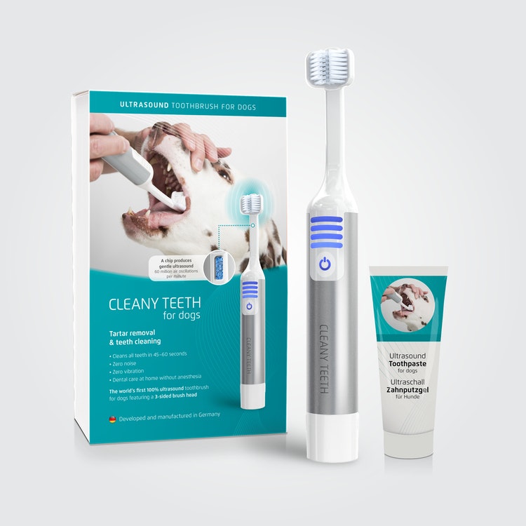 Ultraljudstandborste Startkit