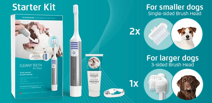 Ultraljudstandborste Startkit