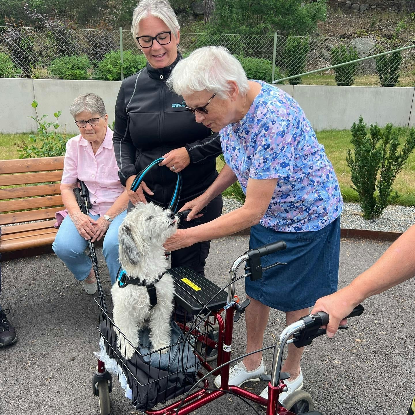 Besökshundsutbildning