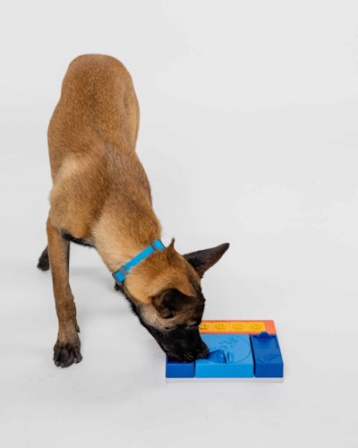 Pawzler Beginner Set