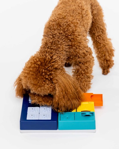 Pawzler Smarty Set