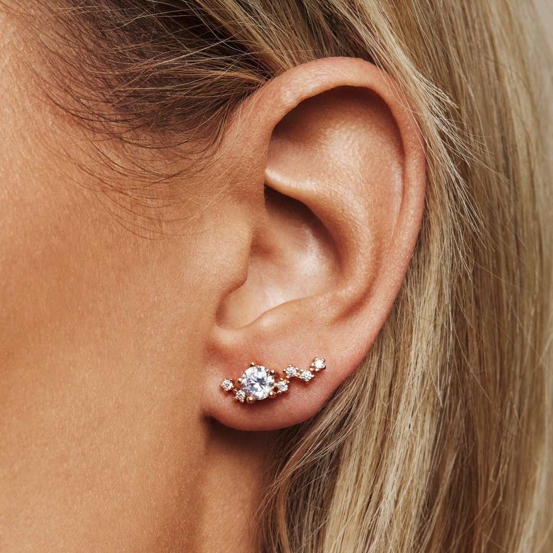 Midnight earrings