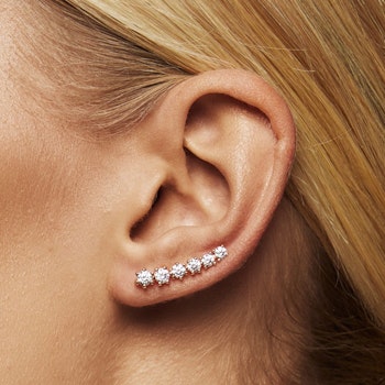 Dazzling earrings