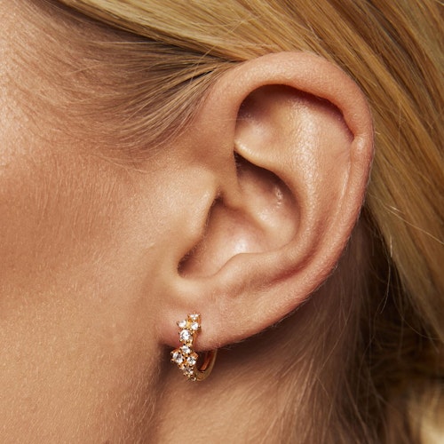Petite Twilight earrings