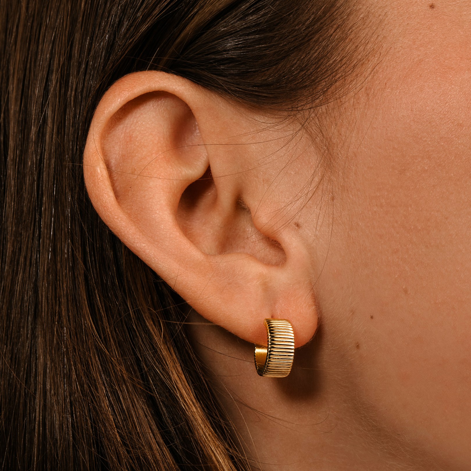 Skyline earrings