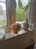 Hjortron - Fönster/bordslampa