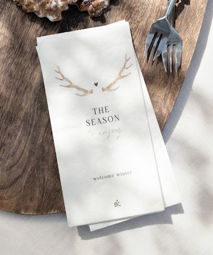 BC Collection Napkin Season to enjoy