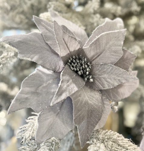 Poinsettia grå/silver