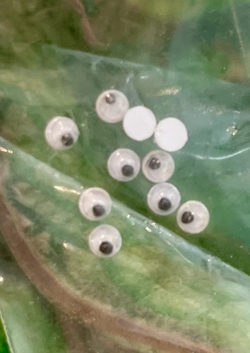 Wiggling eyes