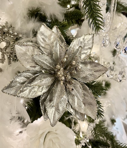 Poinsettia silver