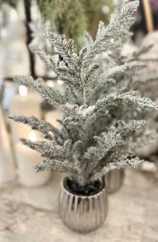 Gran frost
