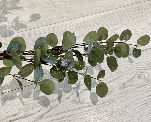 Eucalyptus gren med glitter