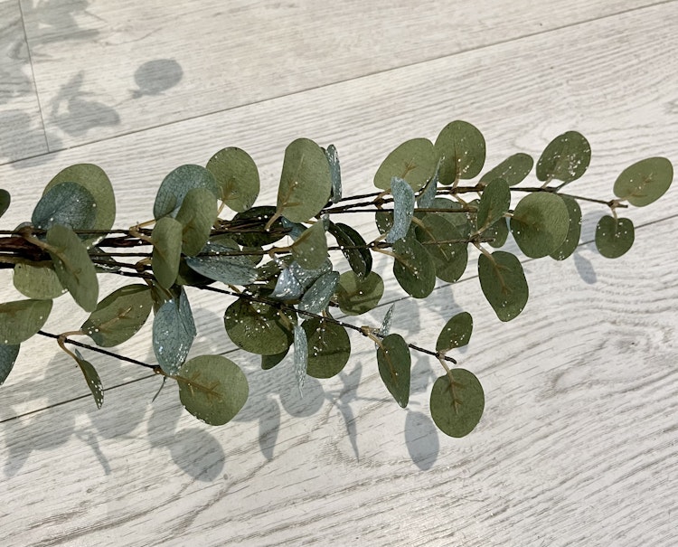 Eucalyptus gren med glitter