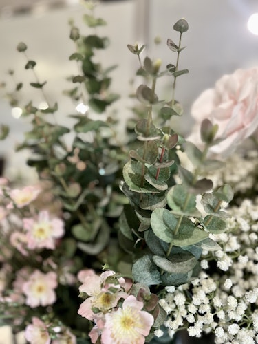 Eucalyptus