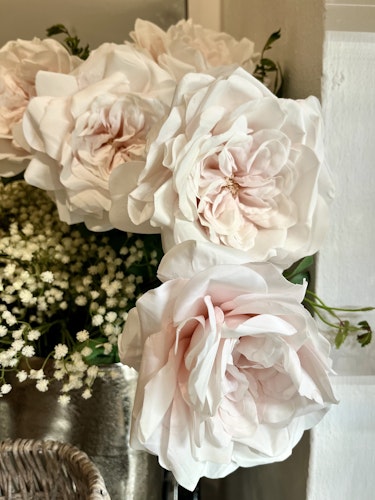 Ros ljusrosa
