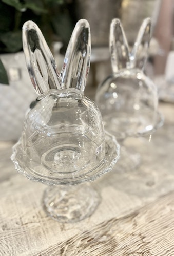 Glaskupa på fot Rabbit