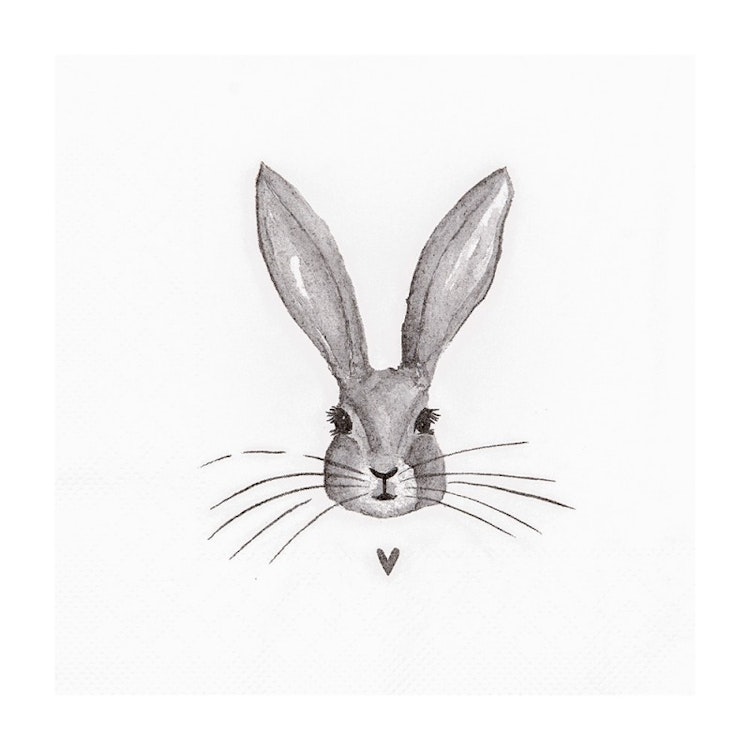 Napkin Rabbit