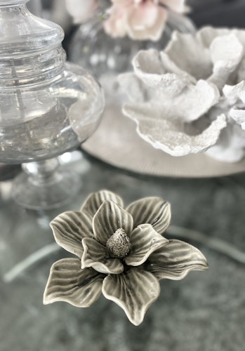 Garden grå magnolia