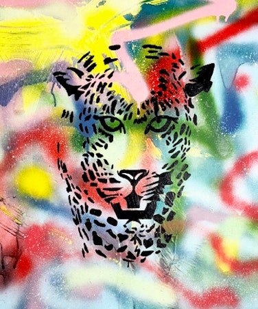 Tavla leopard