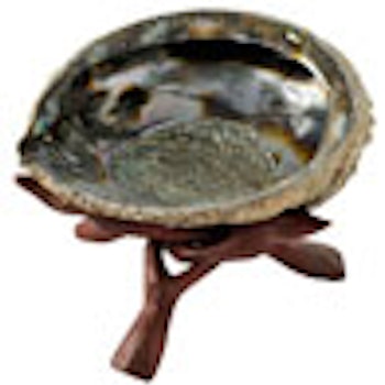 Abalonesnäcka med en ställning i trä.