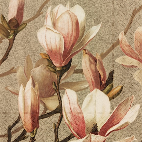 Servett magnoliablom 33x33cm