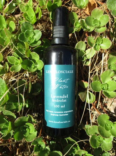 Lavendelhydrolat 100 ml Botany for all