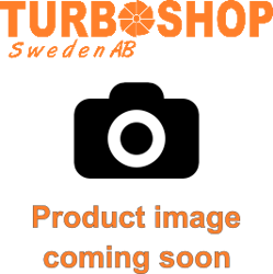 BorgWarner EFR WG actuator Low Boost - EFR 6258 up to 7163 T4 TwinScroll - long