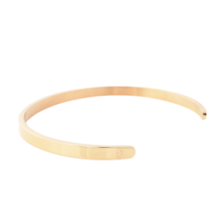 Steel bracelet 5mm Gold