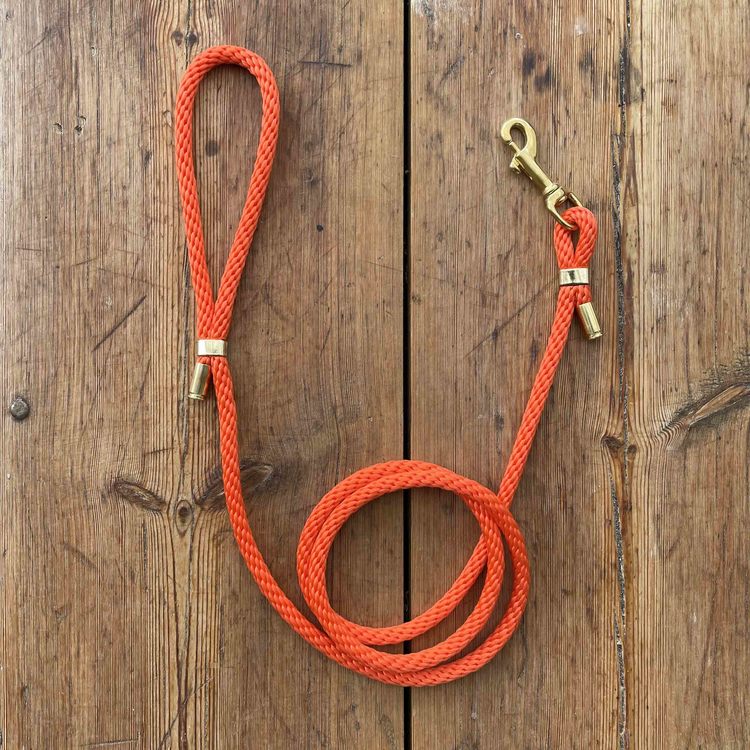 Hundkoppel - Orange - 150cm