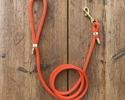 Hundkoppel - Orange - 150cm