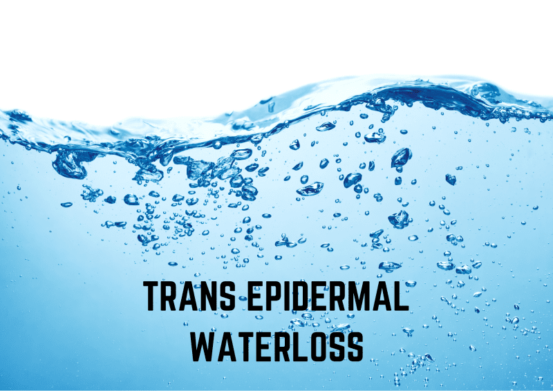 Transepidermal Waterloss - TEWL