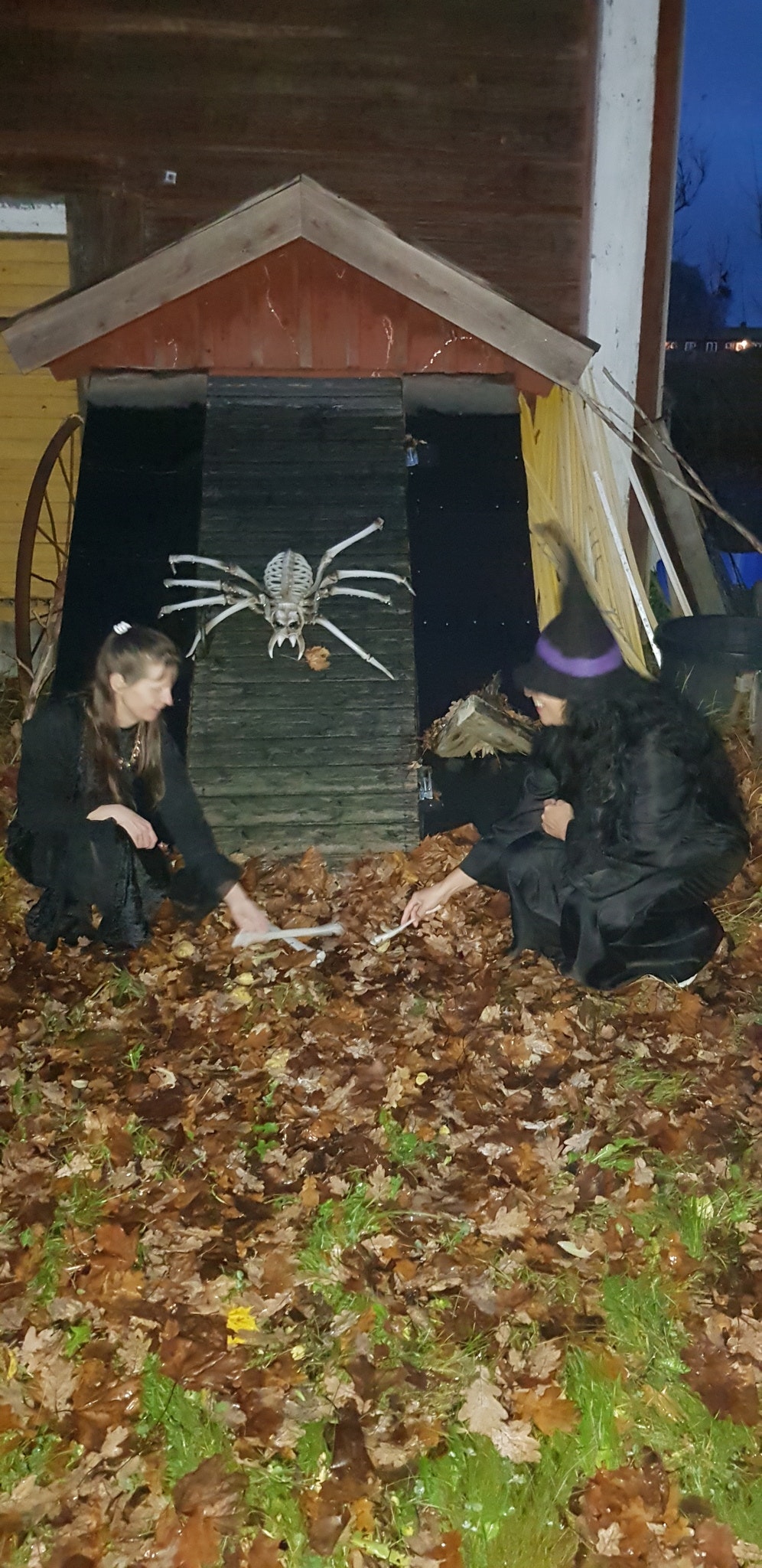 Buskul Halloween 2024