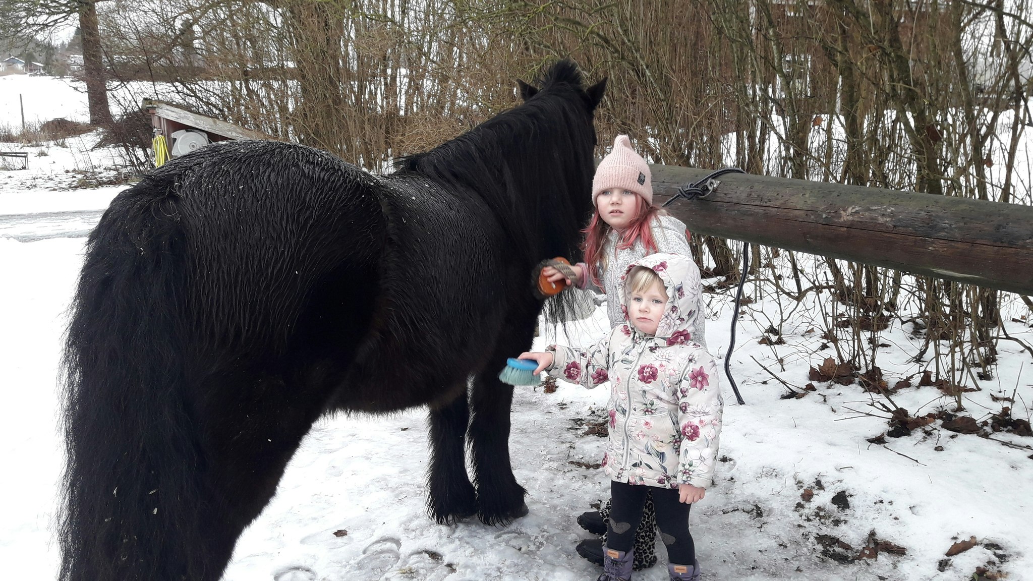 Familjedagar under påsklovet 2024