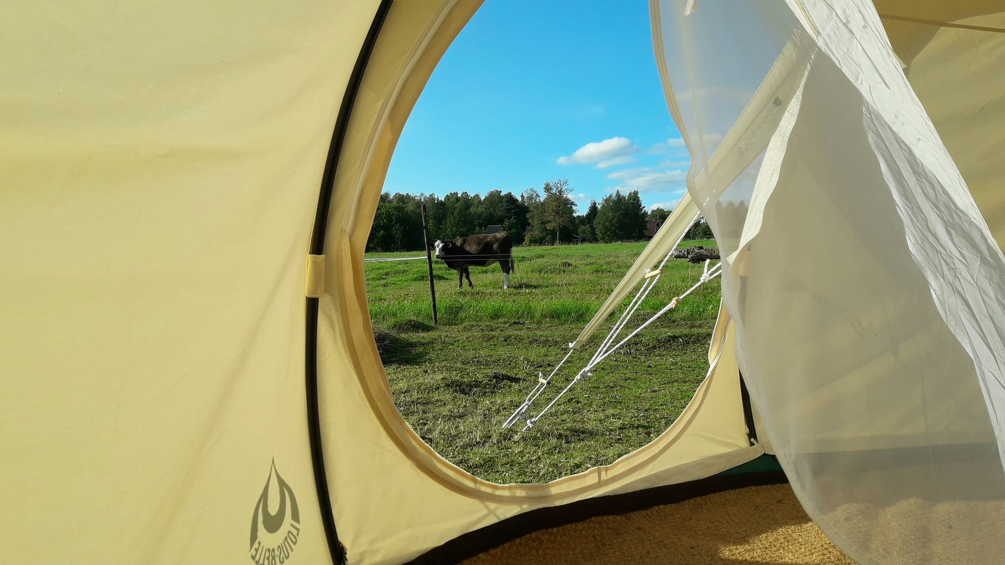 Åshyttans Glamping i Nora