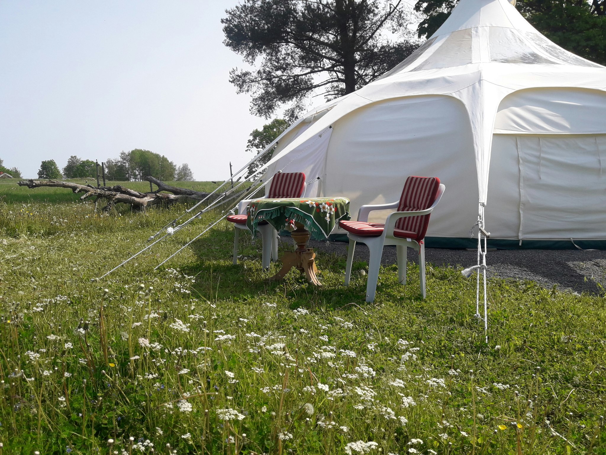 Åshyttans Glamping i Nora