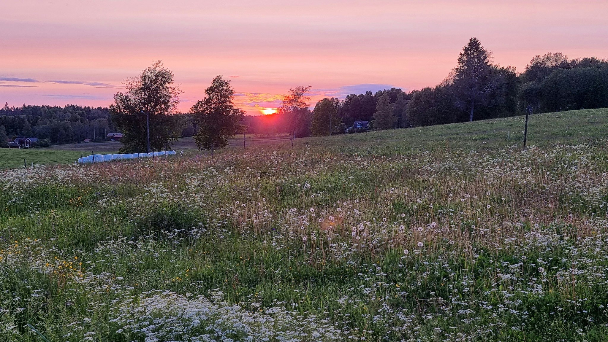 Åshyttans Glamping i Nora