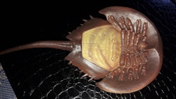 Dolksvans 15 cm (Collecta)