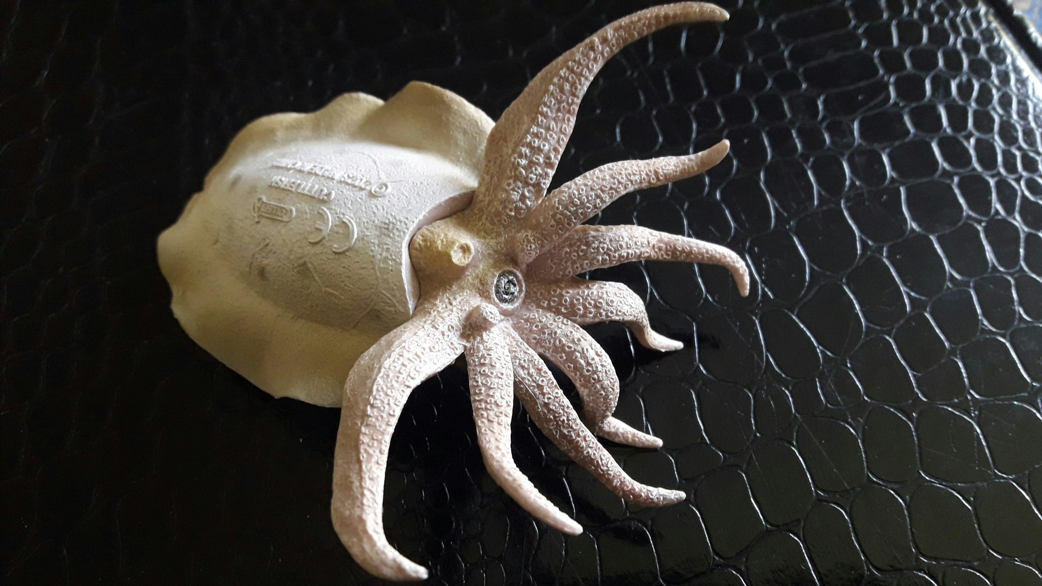 Bläckfisk-Sidensepia 10 cm (Collecta)