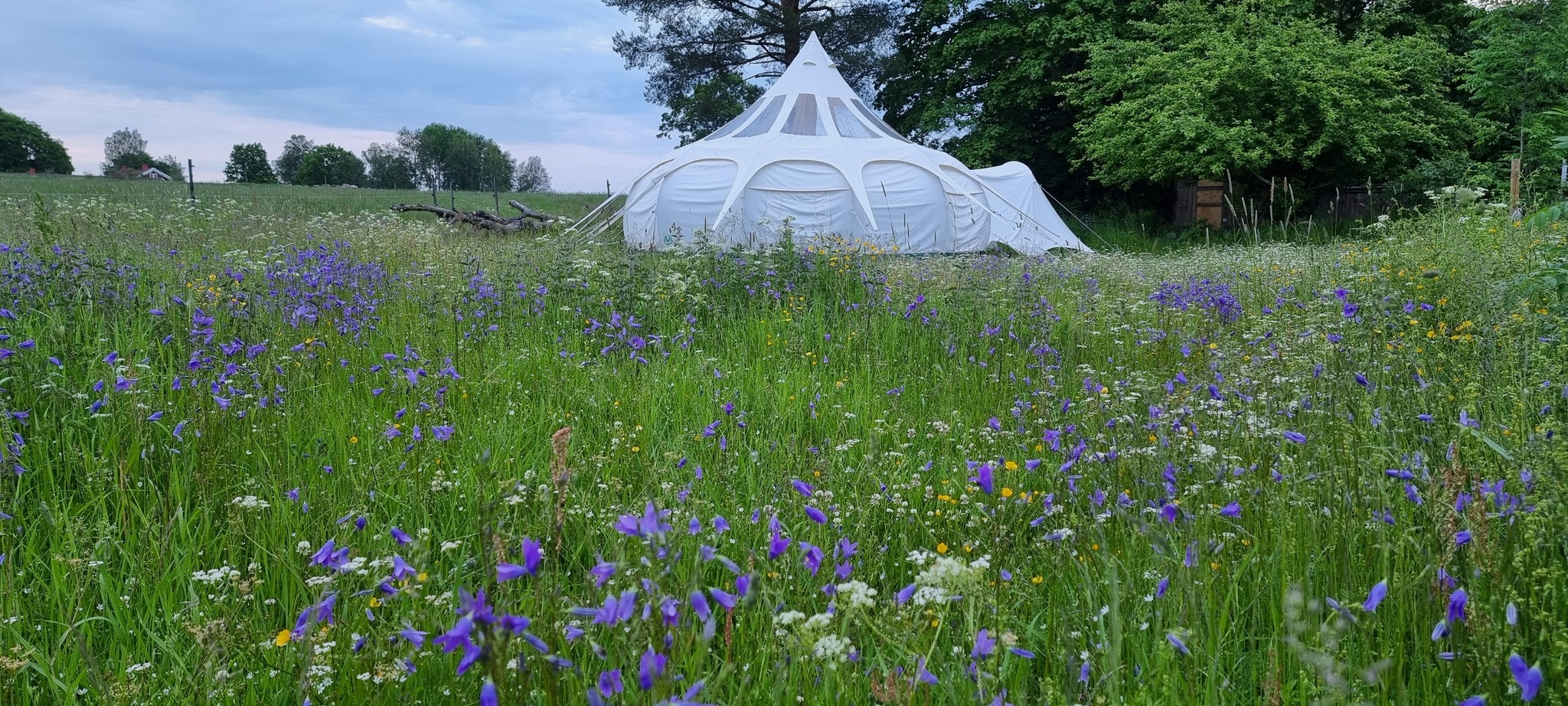 Åshyttans Glamping i Nora