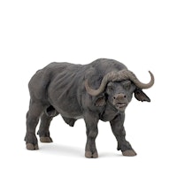 Buffel (Papo)