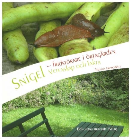 Snigel Vetenskap och fakta