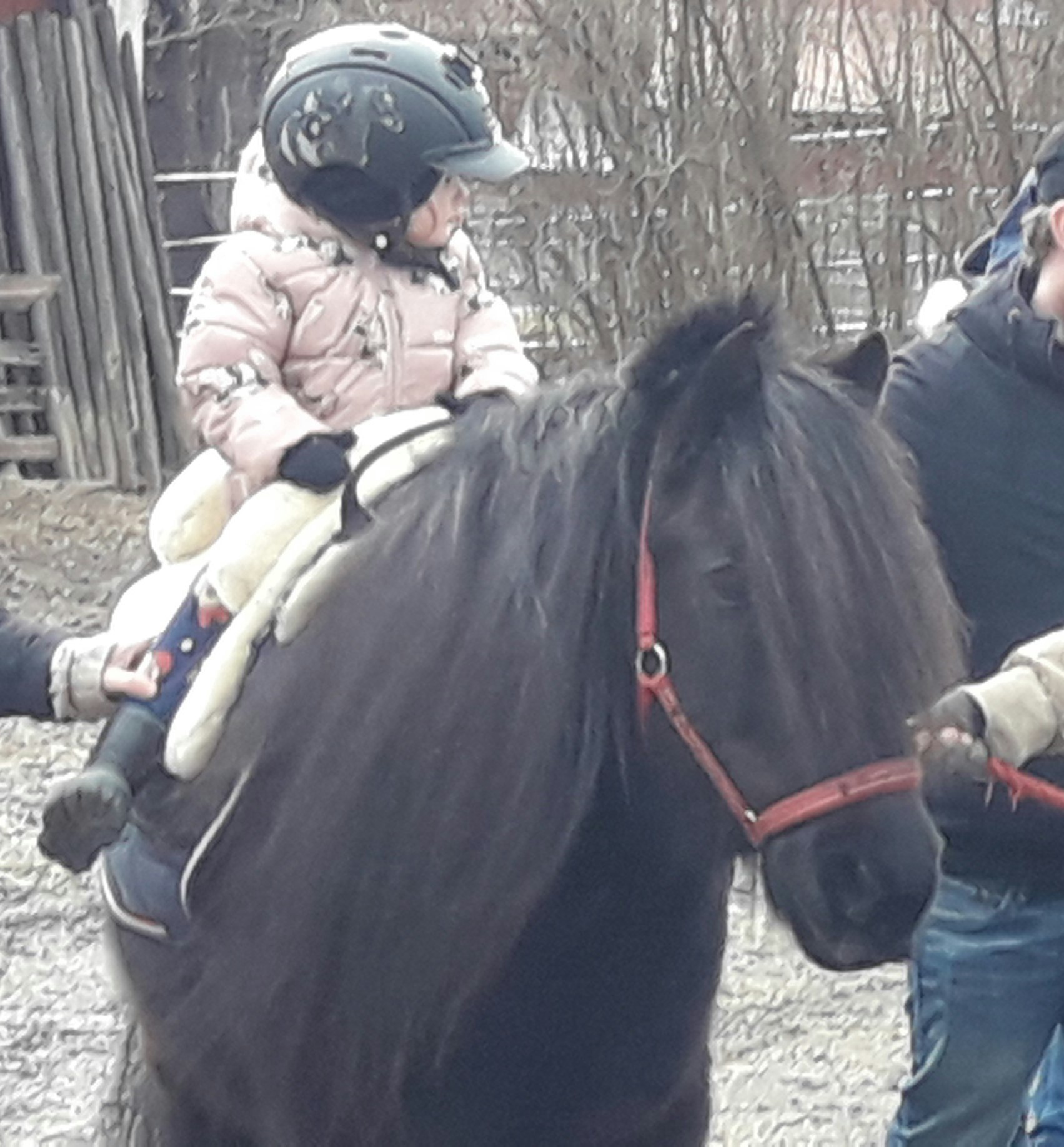 Ponnyridning