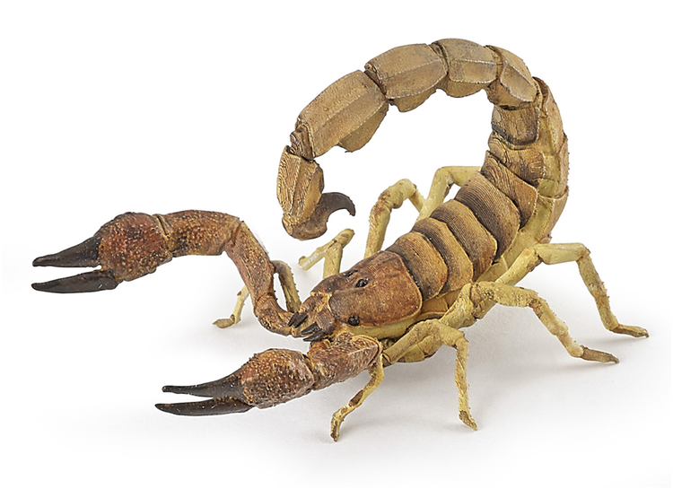 Skorpion 9 cm (Papo)